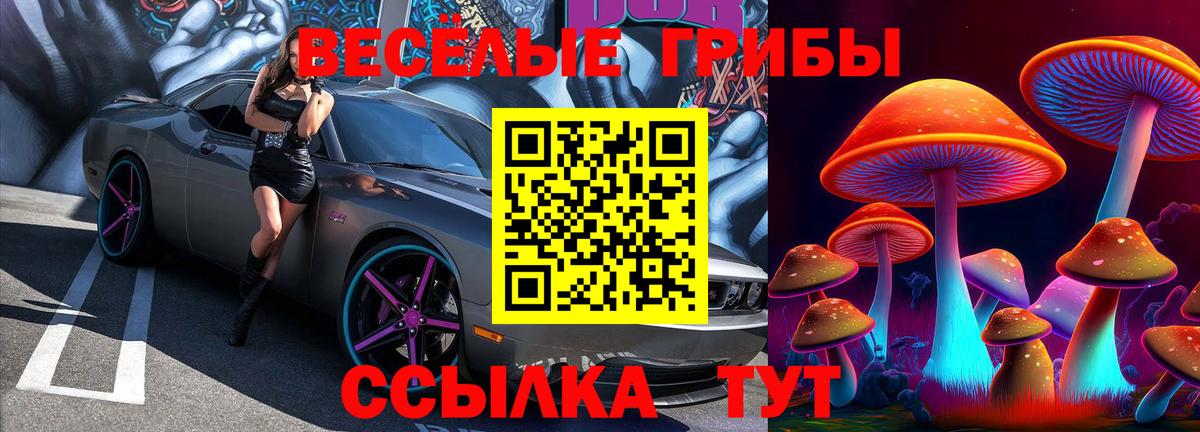 цены наркотик  Галлюциногенные грибы Psilocybine cubensis  Вход с VPN  Лосино-Петровский 